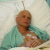 Affaire Litvinenko : Le Troisième Homme