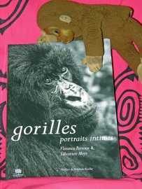 Gorilles authentiques et intimes !