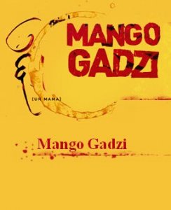 Mango Gadzi : la musique au-delà des frontières