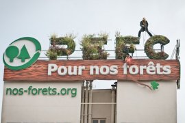 Green Up, une entreprise de Travaux en hauteur "écolo" sur le grand Lyon et sur Metz