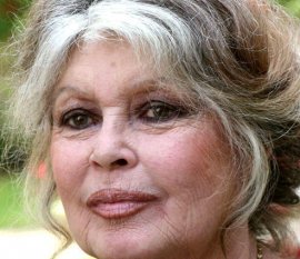 Brigitte Bardot candidate aux élections présidentielles de 2012, info ou intox ?