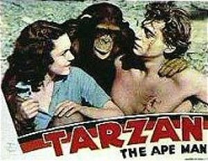 Cheetah super star a tiré sa référence sous le pagne de Tarzan la banane !