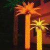 Le rêve californien : Dylana, Nassim, Nora, Athmane et les autres. Des Algérien(e)s à Los Angeles
