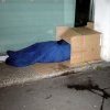 LA MAISON EN CARTON DE CHRISTINE BOUTIN