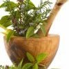 La santé par les plantes interdite en 2011 ! La santé par les plantes interdite en 2011 !