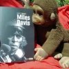 "Miles Davis a souvent été comparé à Picasso"