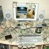 Comment gagner plein d'argent sur Internet ? Comment gagner plein d'argent sur Internet ?