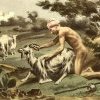 Zoophilie : perversion ou excès d'amour pour les animaux ? Zoophilie : perversion ou excès d'amour pour les animaux ?
