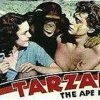 Cheetah super star a tiré sa référence sous le pagne de Tarzan la banane !