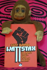 « Wattstax » de Guy Darol : la fierté noire en concerts et révoltes constantes !