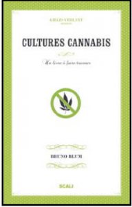 Interview de Bruno Blum auteur de "Cultures Cannabis"