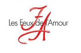 FEUX DE L'AMOUR à Paris, TF1 et TF1.fr organisent deux concours