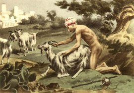 Zoophilie : perversion ou excès d'amour pour les animaux ?