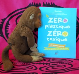 Zéro plastique Zéro déchet, 101 astuces concrètes proposées par Aline Gubri !