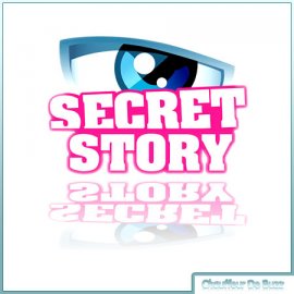 Secret Story, toutes les réponses sont déjà sur le Net