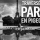 400 000 VUES SUR YOUTUBE : LES PIGEONS DE PARIS PRENNENT LEUR ENVOL