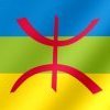 Plaidoyer pour la langue Amazigh 