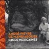 Les pages mexicaines d'André Pieyre de Mandiargues