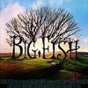 The BIG FISH