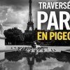 400 000 VUES SUR YOUTUBE : LES PIGEONS DE PARIS PRENNENT LEUR ENVOL