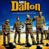 Quel est le film le moins rentable de l'histoire du cinéma français ? Les Dalton (2004)