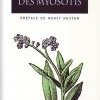 Du parti des Myosotis