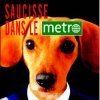 Un de nos collaborateurs sort un livre qui a du chien...