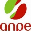 Lettre ouverte à l'ANPE
