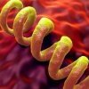 Retour de la syphilis : symptômes, causes, traitement et prévention d'une maladie en forte recrudescence