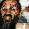Hommage, en poème, à Ben Laden