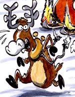 Un Noël en état d'urgence.