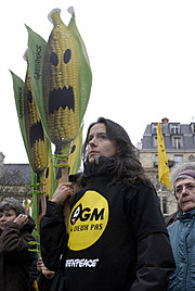 OGM, j'en veux pas !