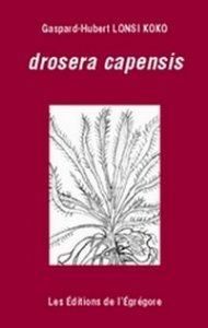 Entretien avec Gaspard-Hubert Banacek Lonsi Koko
