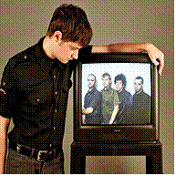 Découvrez les SPANGLES