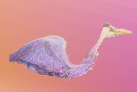 Une histoire de sexe : CHARLINA