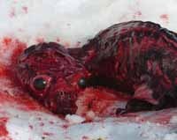 Vers l'interdiction de l'exportation des produits dérivés du phoque...