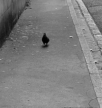 Un grand merci à notre mécène anonyme !