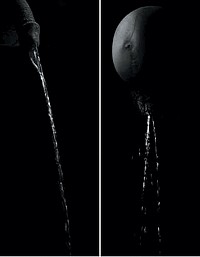 POURQUOI JE N'ECRIRAI PAS POUR LE MAGUE