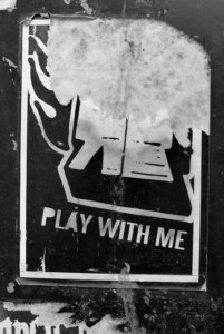 Joies de l'écriture 