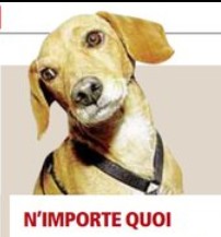 Saucisse dénonce la dangerosité des Radars...