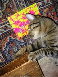 Les chiens ne font pas des chats...