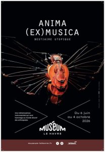  Des insectes en musique Au muséum d'histoire naturelle du Havre, des insectes géants prennent vie à partir d'instruments de musique recyclés Exposition « Anima (Ex) Musica » du 6 juin au 4 octobre 2026