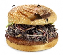 Dégoût et des couleuvres