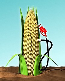 La France se met au Vert