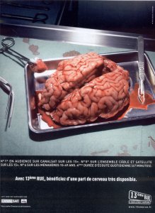 Les idées politiques bientôt localisées dans le cerveau