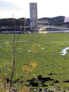 Les préfets du Finistère et des Côtes d'Armor condamnés en plein Grenelle de l'Environnement