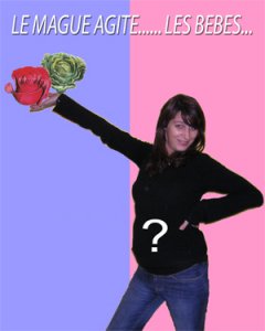 QUI ES-TU ALEXANDRA ?