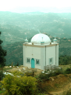 Cachez donc ces êtres qui ne sont aux yeux du sens commun que des « non personnes" ! 