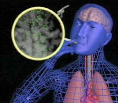 Lettre Ouverte à la Ministre de la Santé, Madame Roselyne BACHELOT