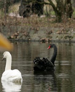 Avis de Recherche à l'Attention de Petra